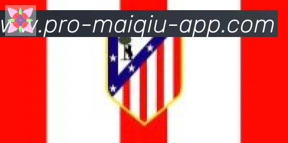买球app合作伙伴